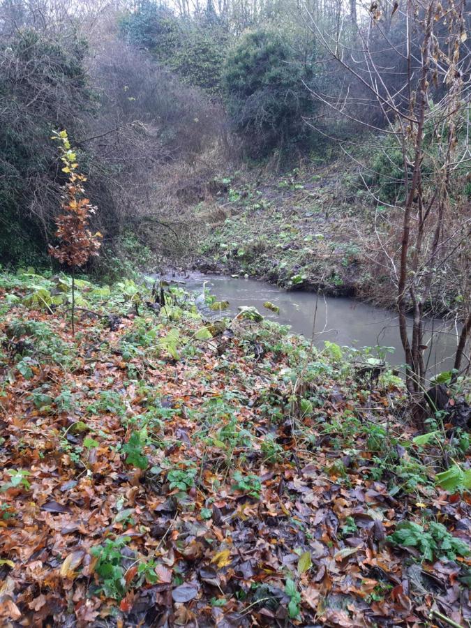 Daiches Braes Brunstane Portobello Edynburg Zewnętrze zdjęcie